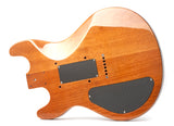 Shen Guitar